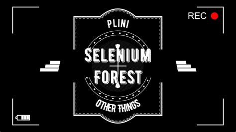 plini selenium forest tab Selenium forest backing track- Wombat Astronaut (Beyond The Burrow) HQ